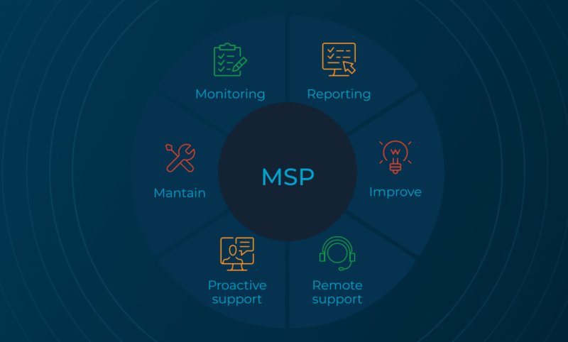 MSP description